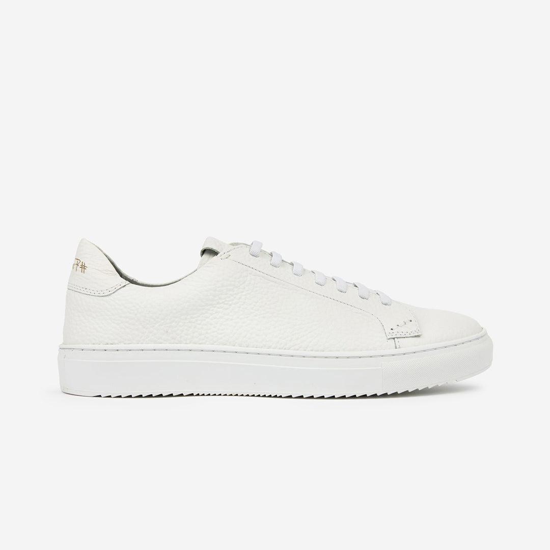 36's Laceless Low Top Product Image