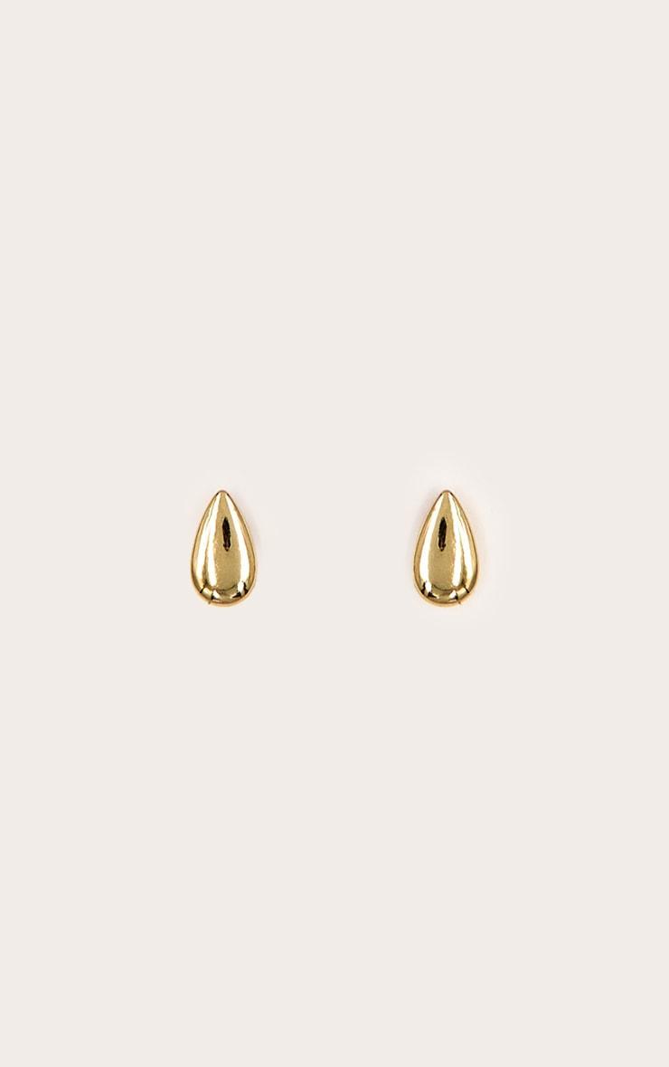 Gold Plated Smooth Teardrop Earrings Product Image