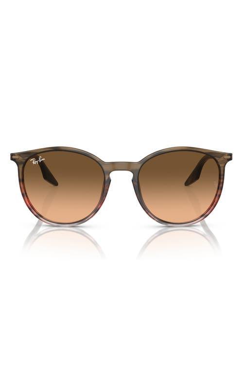Womens RB2204 51MM Pantos Sunglasses Product Image