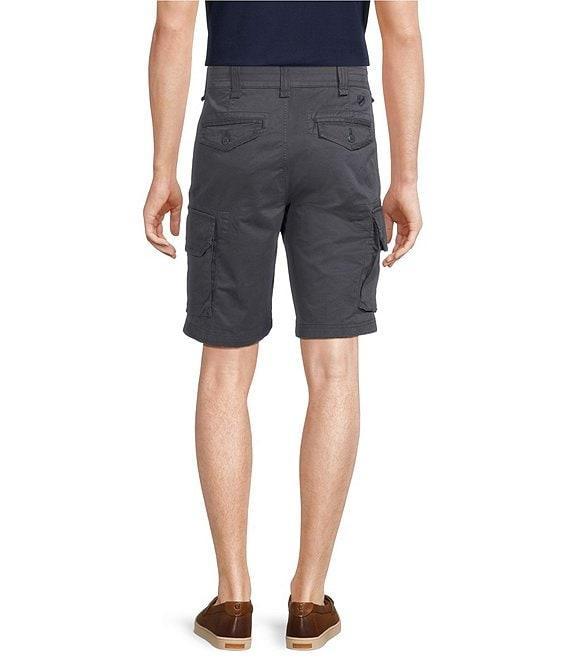 Cremieux Blue Label Madison Cargo 10#double; Inseam Shorts Product Image