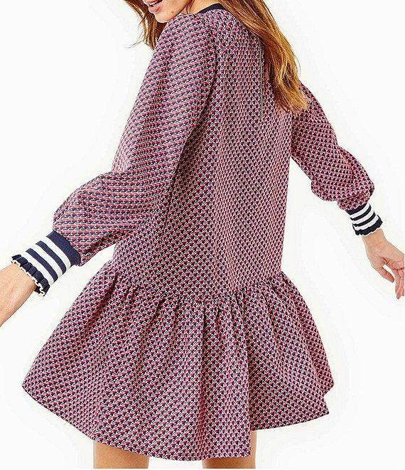 Addison Bay Vine Geometric Print Crew Neck Long Sleeve A-Line Zip Back Dress Product Image