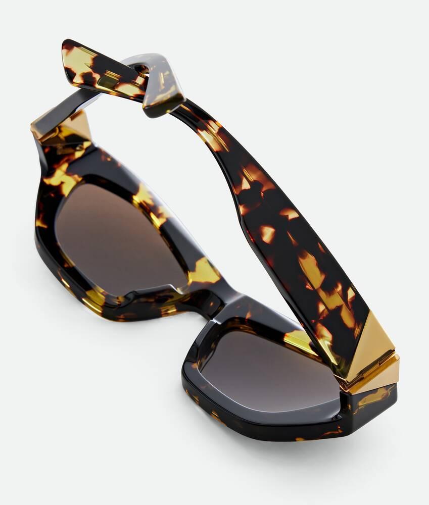 Reace Oval Sunglasses in Multicolor/brown Product Image