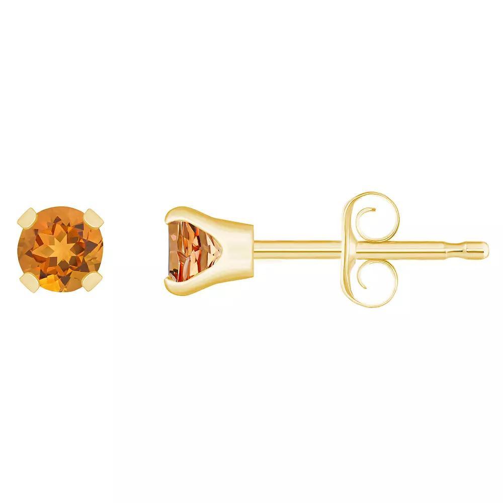 14k White Gold Gemstone Stud Earrings, Women's, December Product Image