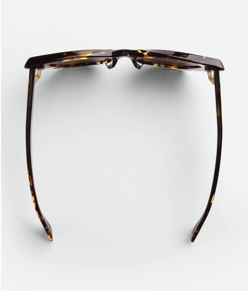 Women's Angle Acetate Pointed Cat Eye Sunglasses in Havana / Brown Product Image