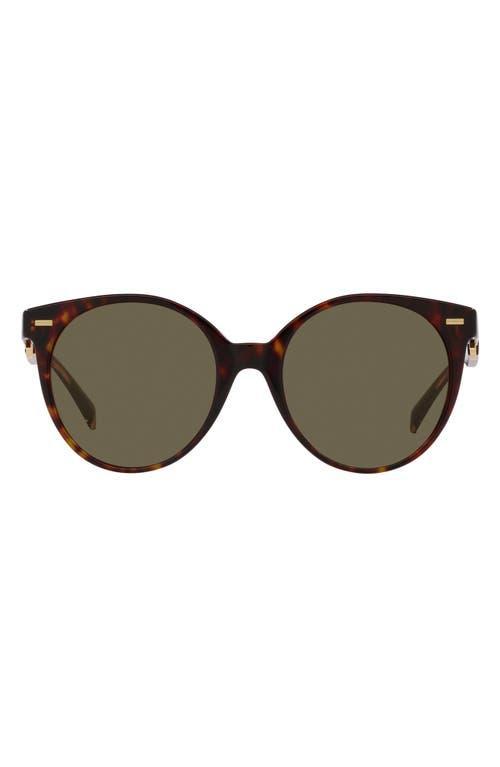 Womens 56MM Pantos Sunglasses Product Image