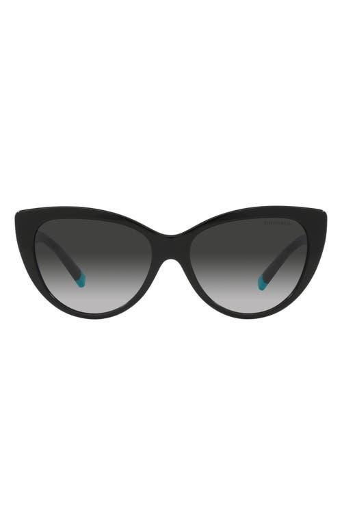 Womens 56MM Cat Eye Sunglasses Product Image