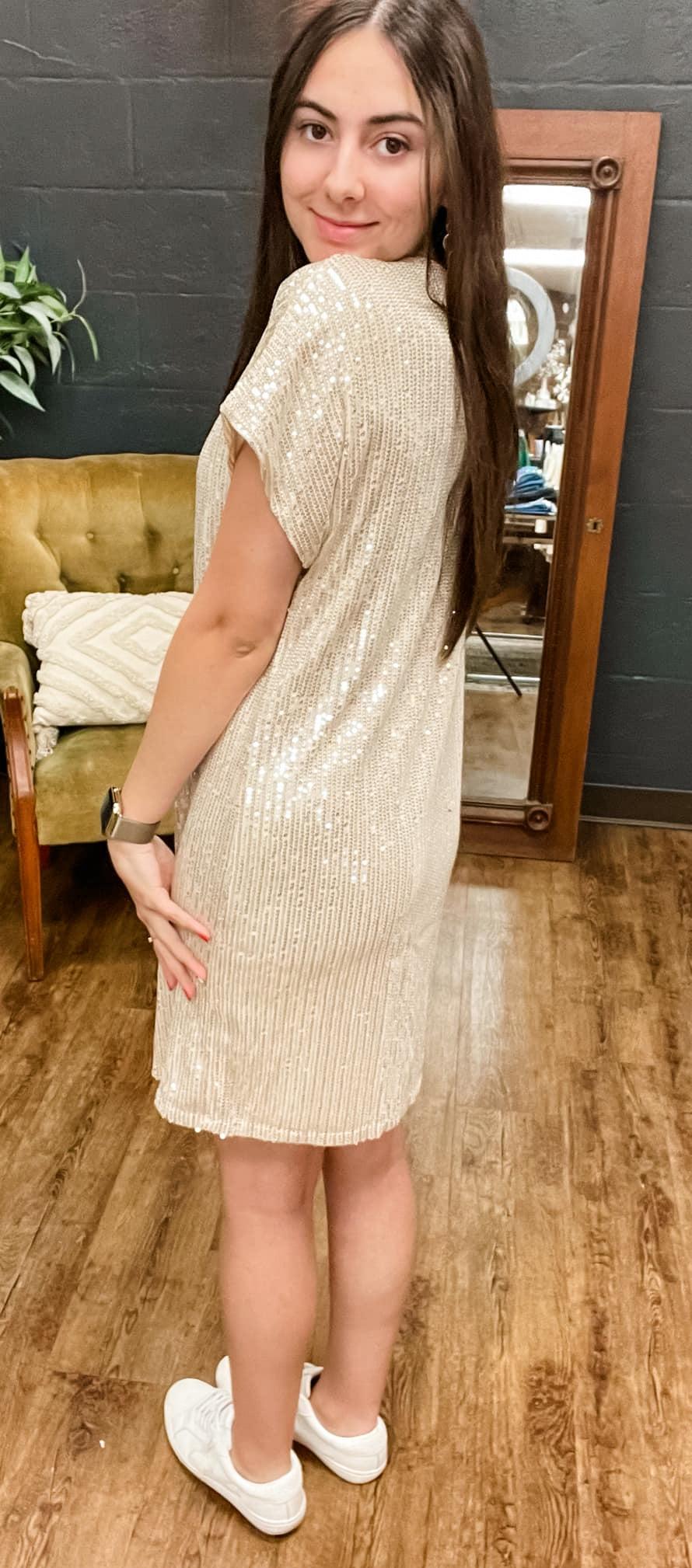 The Audrey | Taupe Short Sleeve Sequin Dress (Small to Large) Product Image