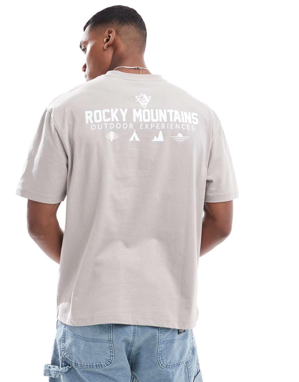 ASOS DESIGN relaxed T-shirt in gray with outdoor back print Product Image