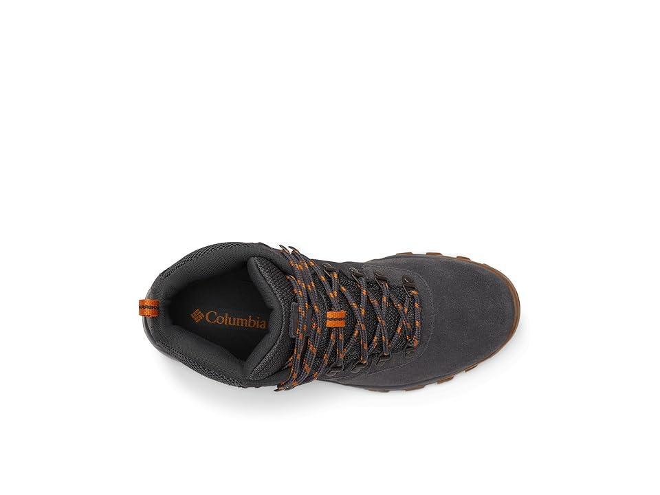 Columbia Men's Newton Ridge Plus II Suede Waterproof Hiking Boot- Product Image