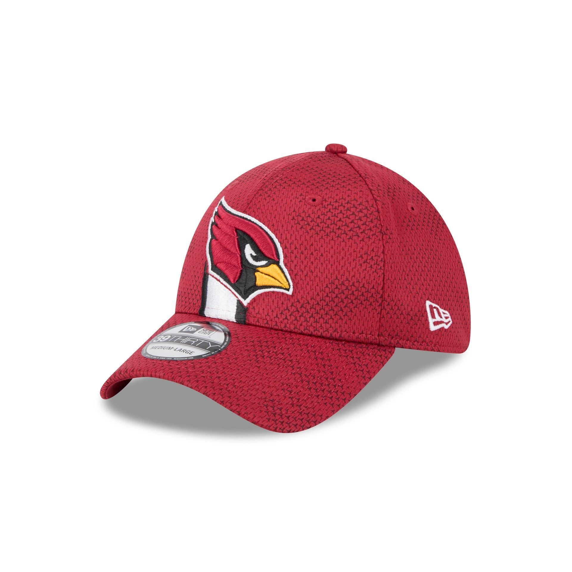Las Vegas Raiders Meadow Stitch 9TWENTY Adjustable Hat Male Product Image