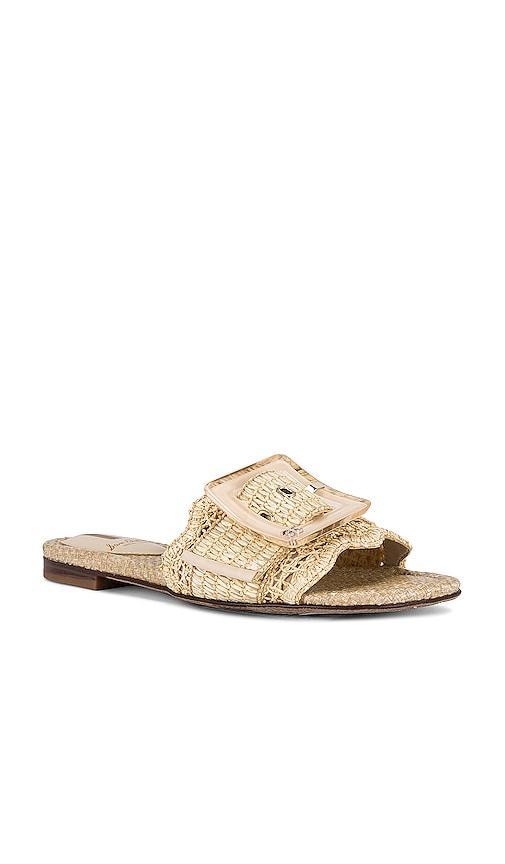 Sam Edelman Womens Bambi Buckled Woven Slide Sandals Product Image