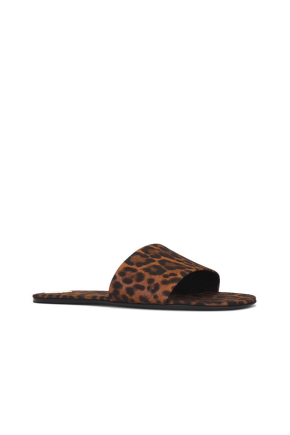 Saint Laurent Carlyle Flat Slide in Brown Product Image