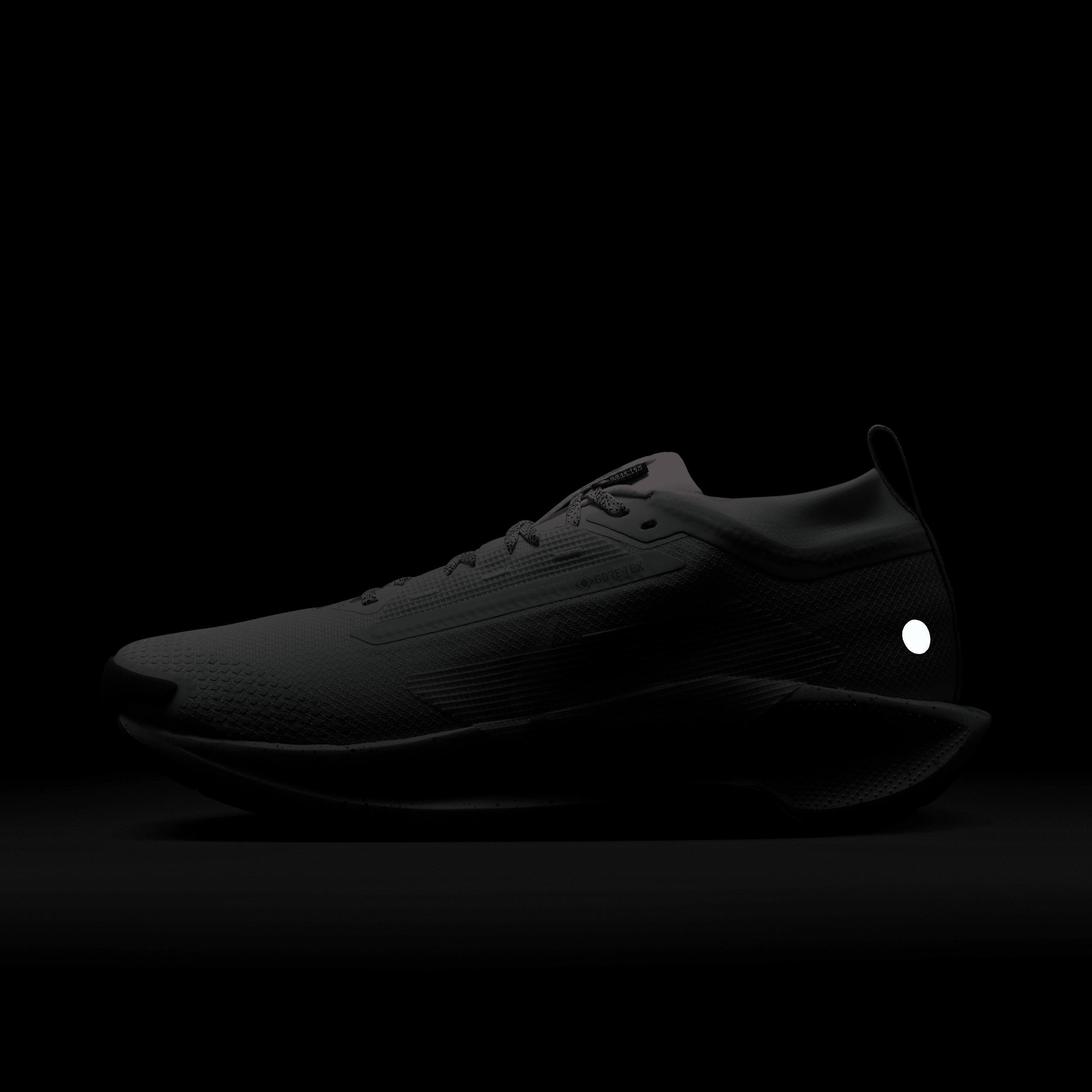 Nike Men's Pegasus Trail 5 GORE-TEX Waterproof Trail Running Shoes Product Image