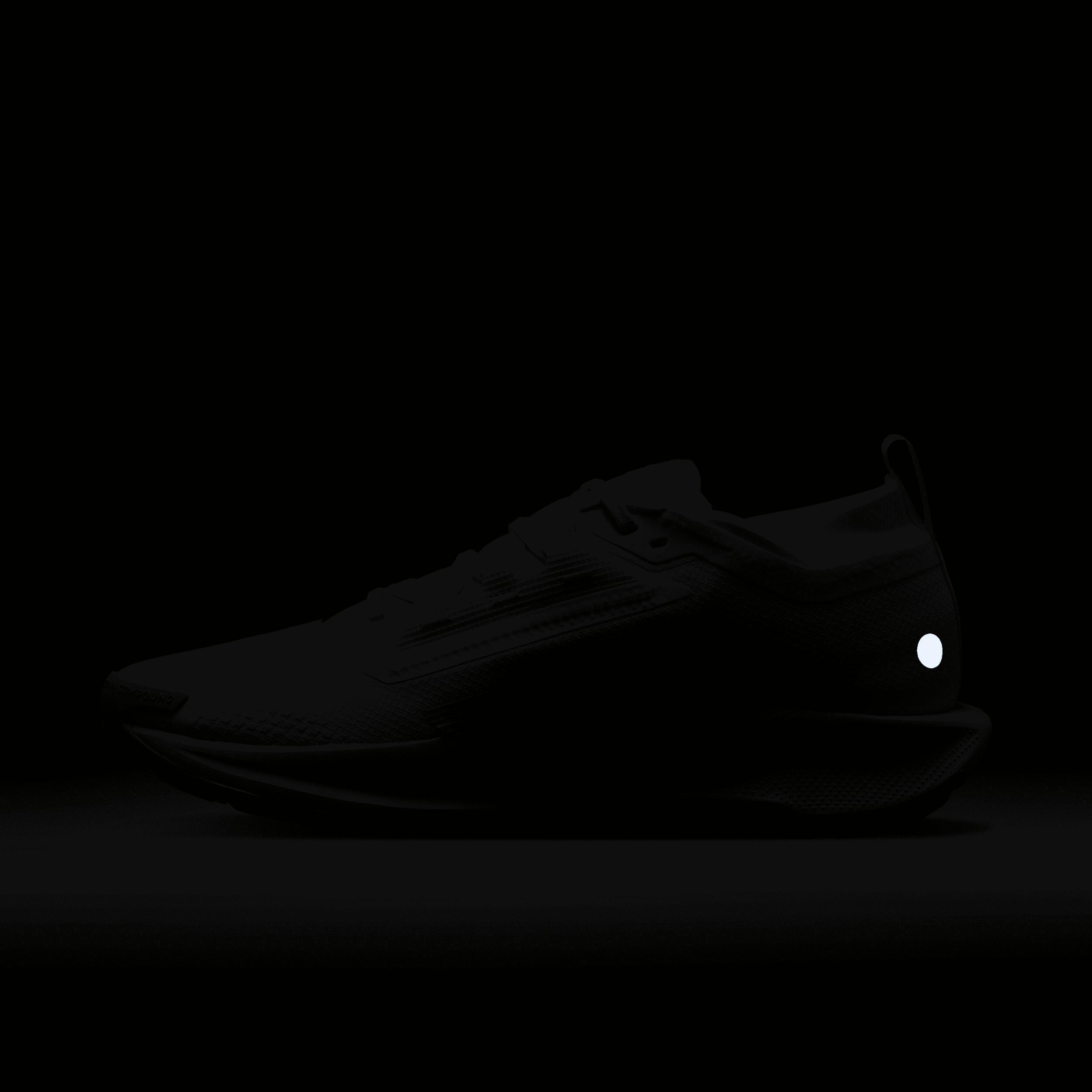 Nike Men's Pegasus Trail 5 GORE-TEX Waterproof Trail Running Shoes Product Image