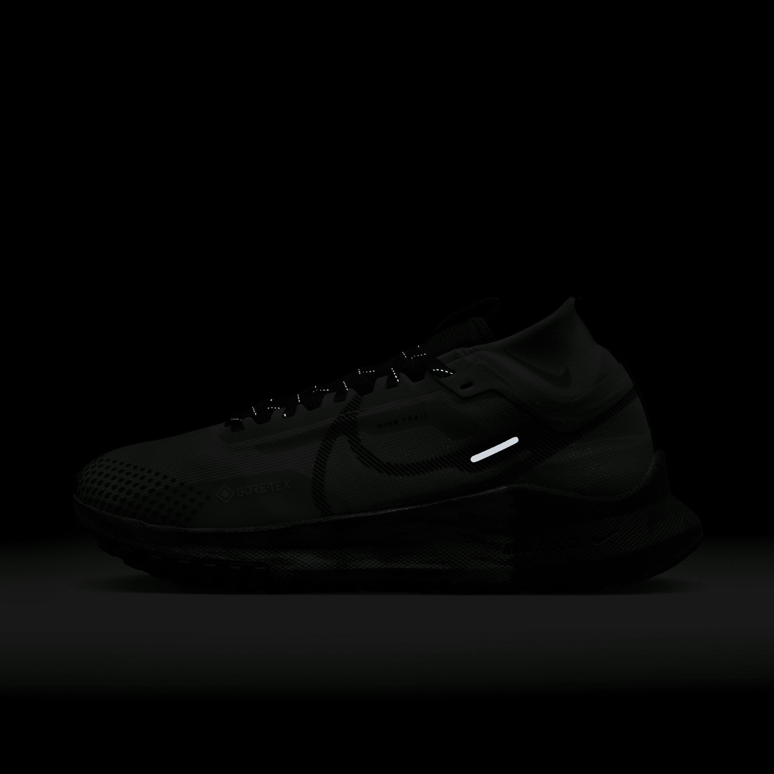 Nike Pegasus Trail 4 GORE-TEX Women's Waterproof Trail Running Shoes Product Image