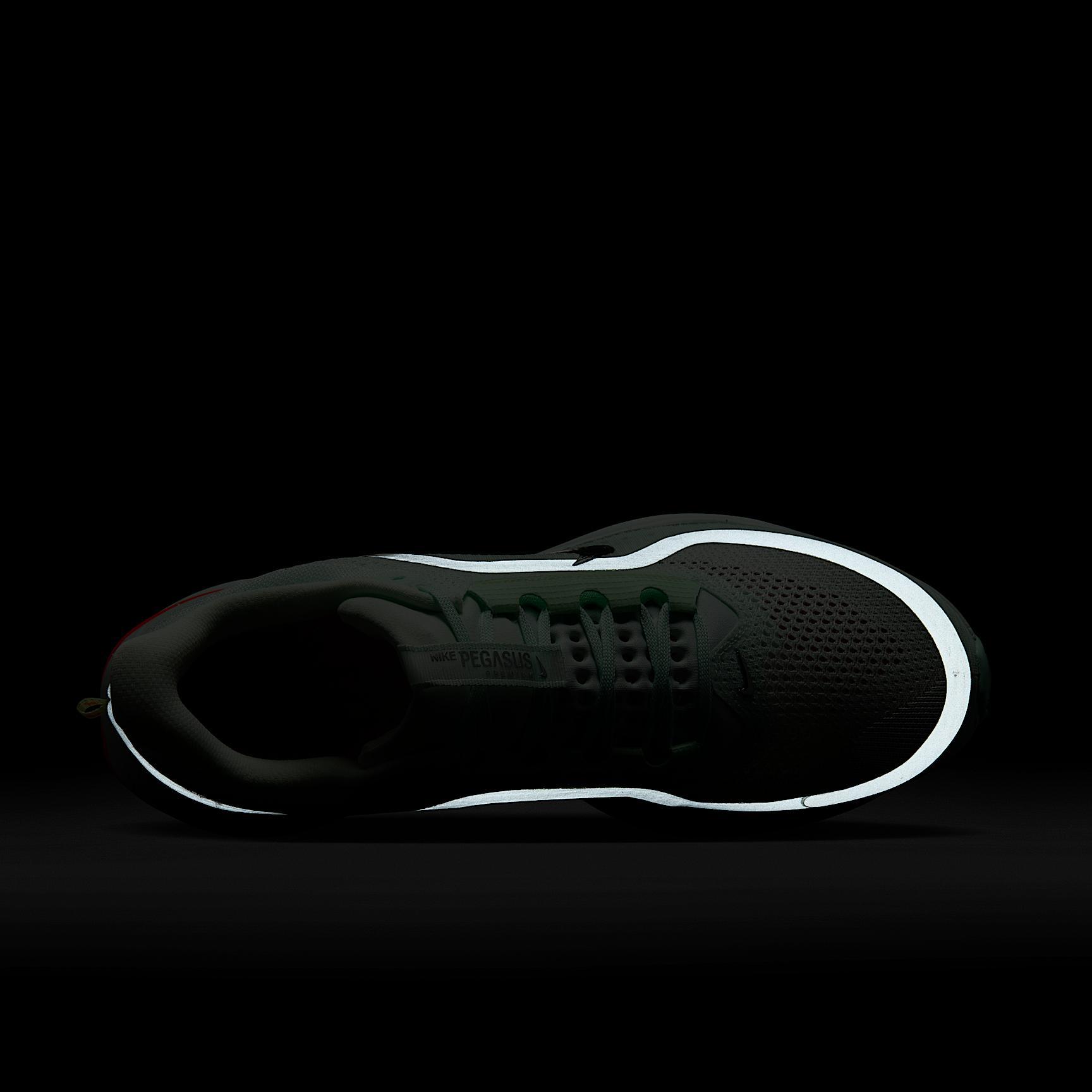 Nike Pegasus Premium Men's Road Running Shoes Product Image