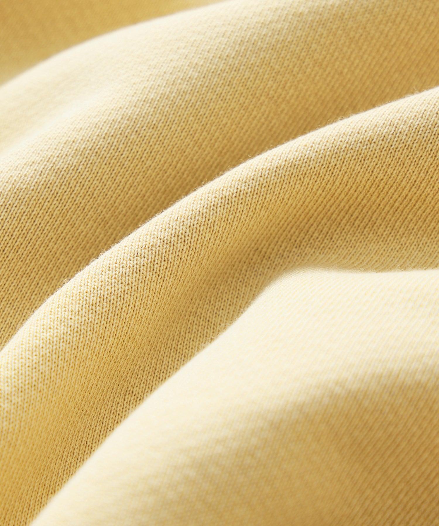 Champion Midweight Popover Hoodie Sweatshirt Product Image