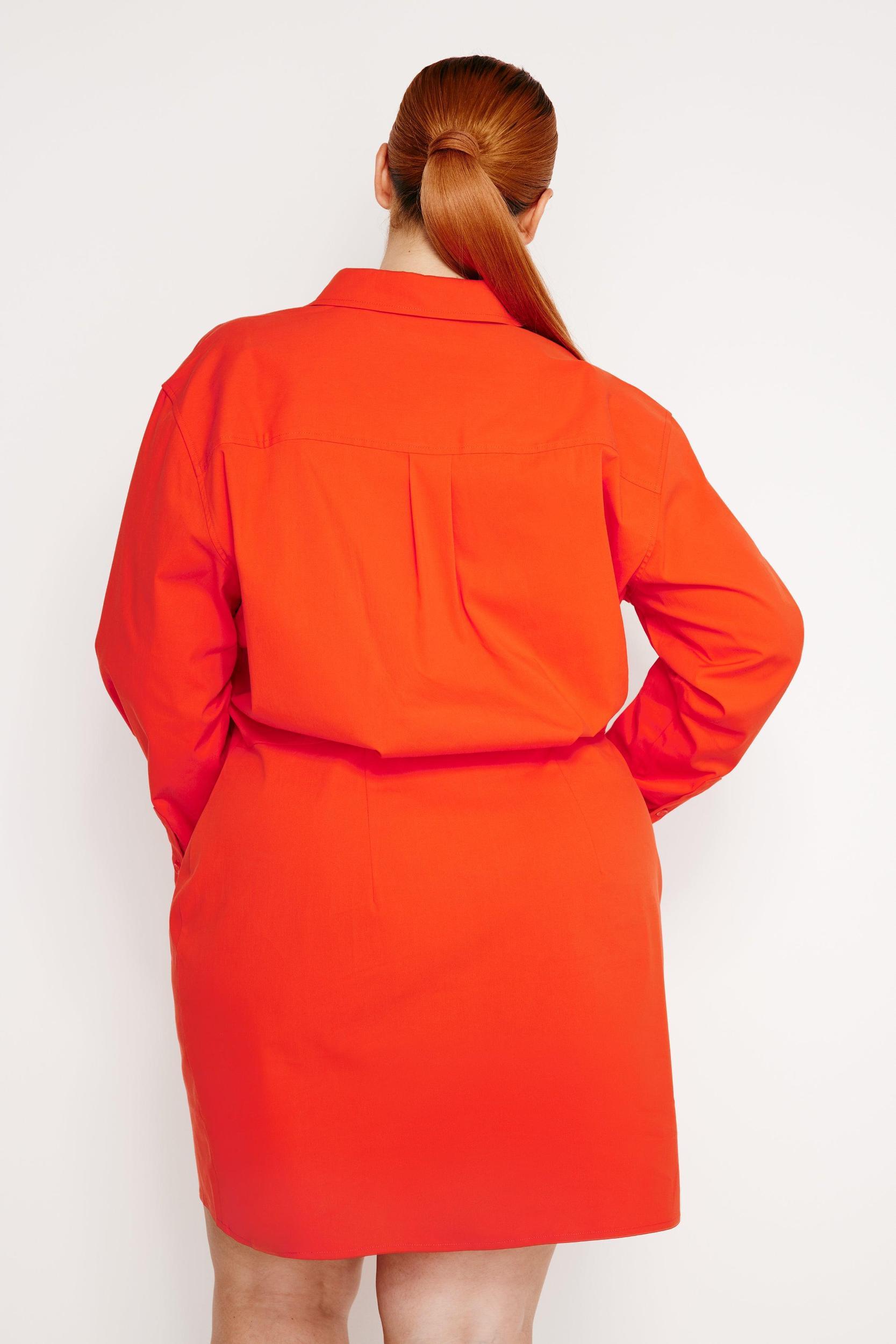 POPLIN SHIRT DRESS | ROMA002 Product Image