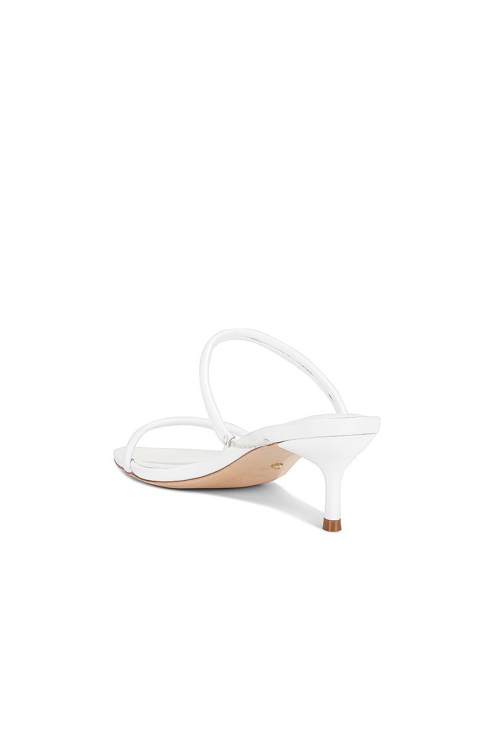 Rene Sandal RAYE Product Image