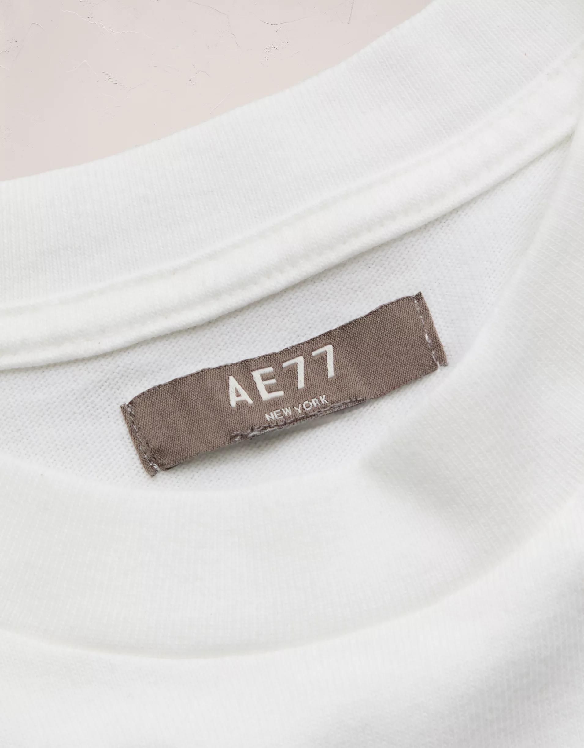 AE Premium Boxy T-Shirt Product Image