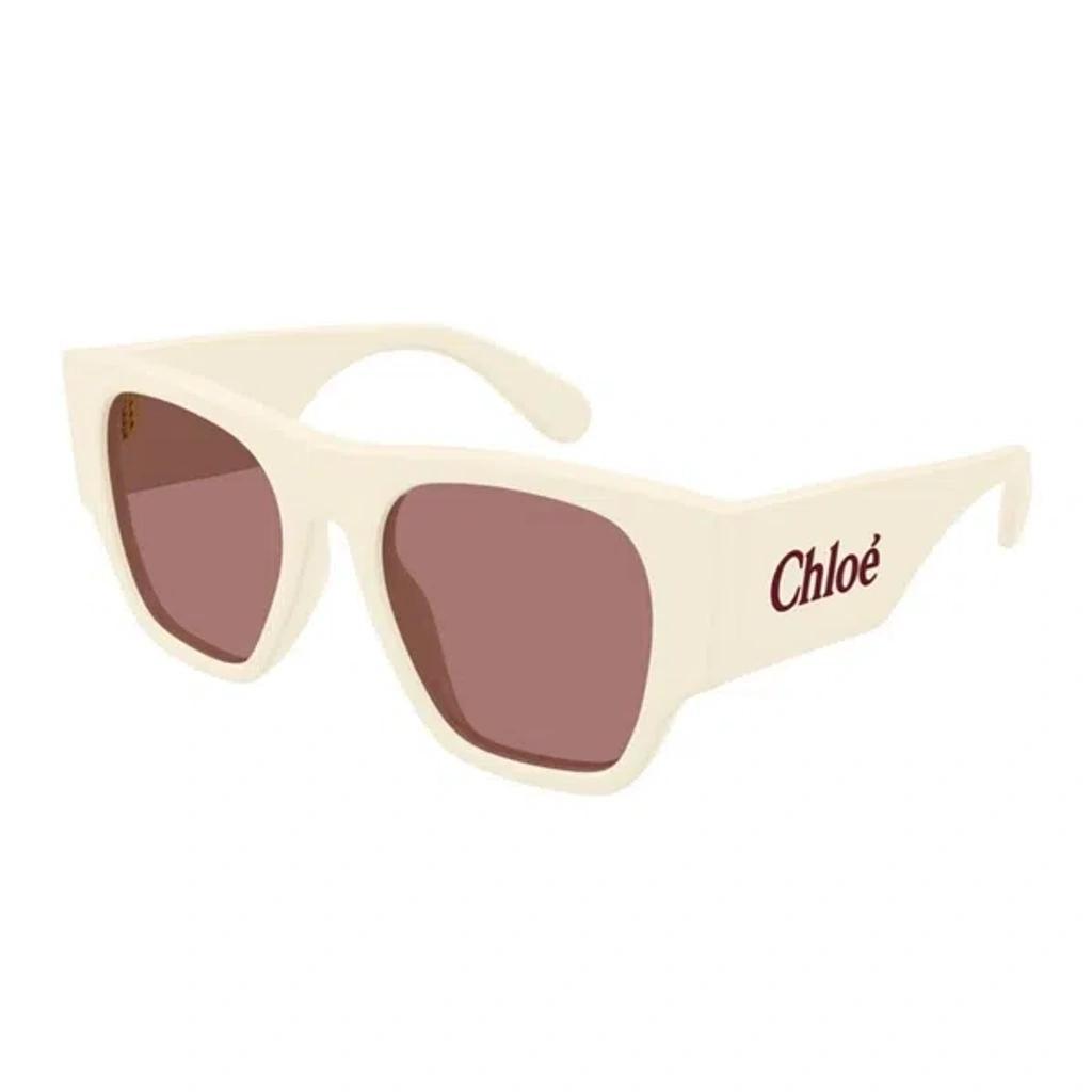 CHLOÉ Women's Chloã© Ch0233s 003 Sunglasses In Ivory Product Image