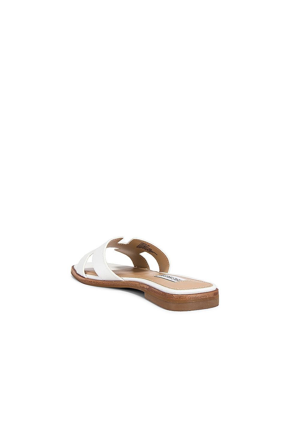 Hadyn Sandal Steve Madden Product Image