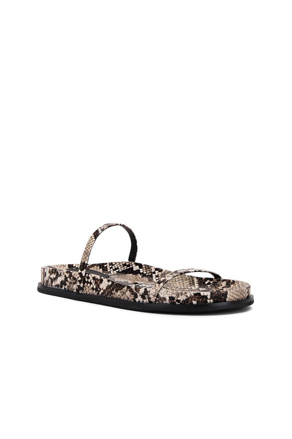 De Milo Sandal Jeffrey Campbell Product Image