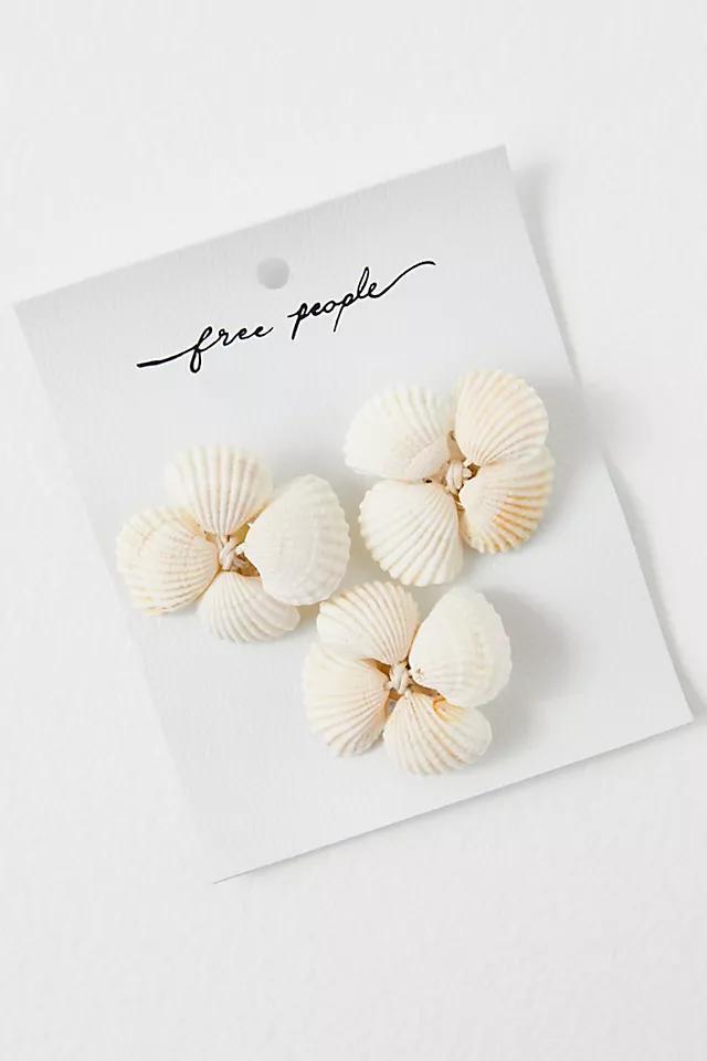 Shell Adornments 3-Pack Product Image