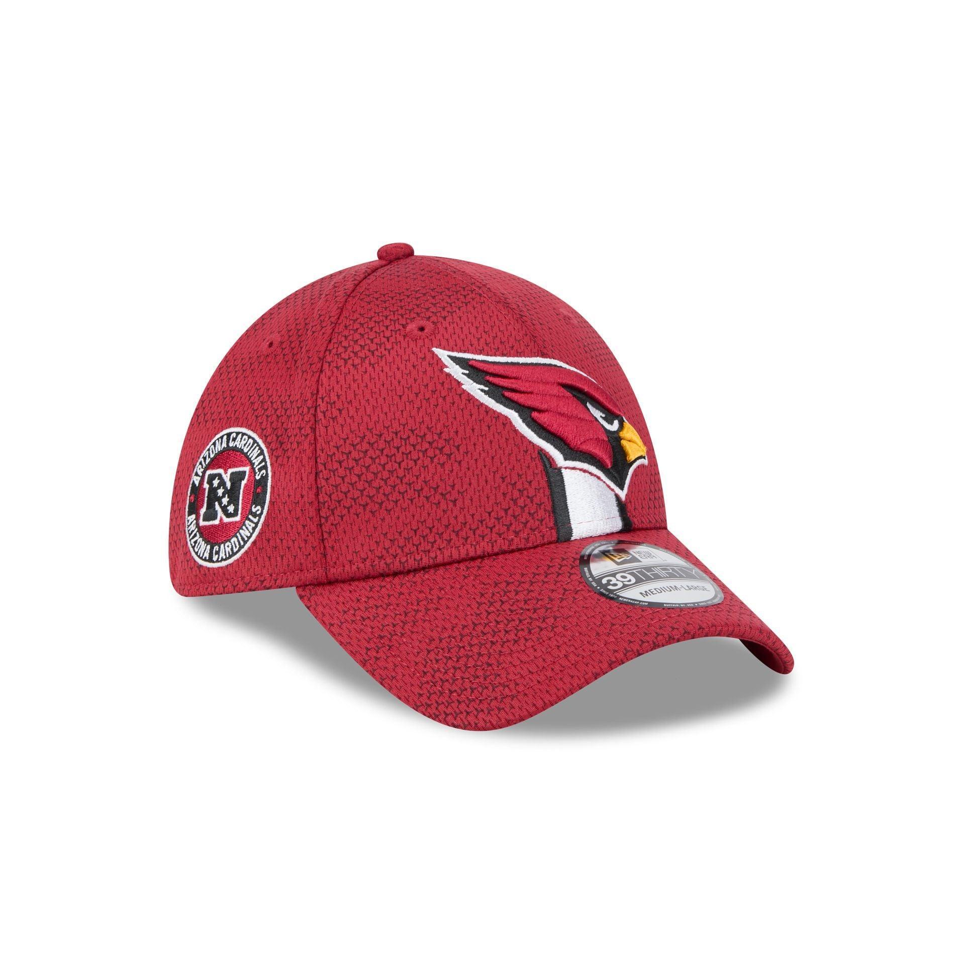 Las Vegas Raiders Meadow Stitch 9TWENTY Adjustable Hat Male Product Image