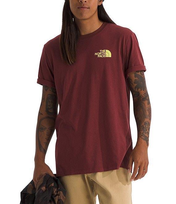 The North Face Short Sleeve Public Lands Cactus Graphic T-Shirt Product Image