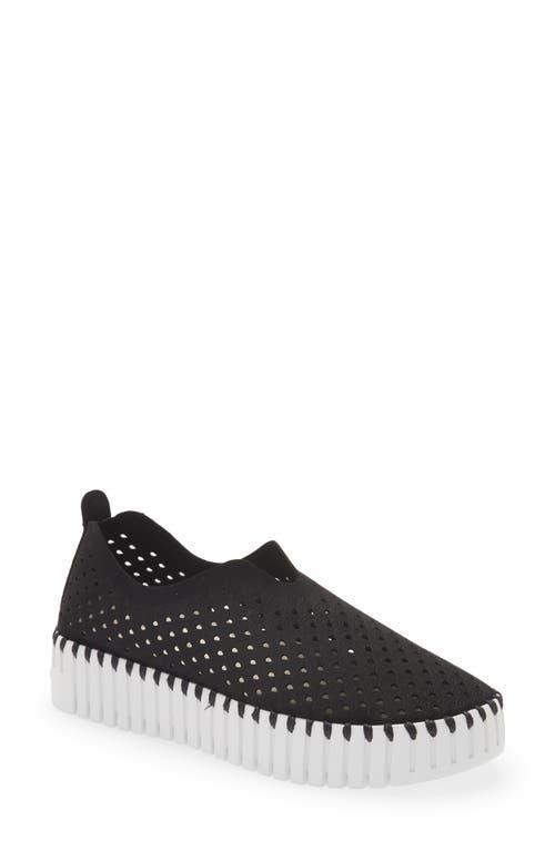 Ilse Jacobsen Tulip 3373 Women's Shoes Product Image