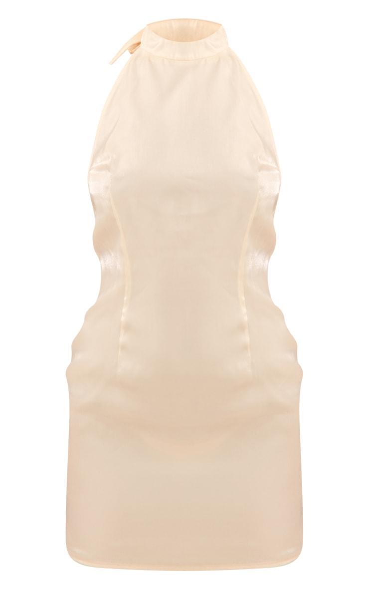 Nude Shiny Halterneck Backless Bodycon Dress Product Image
