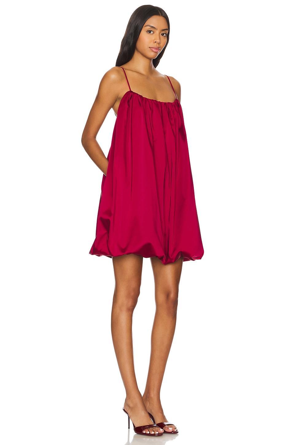 India Mini Dress SIMKHAI Product Image
