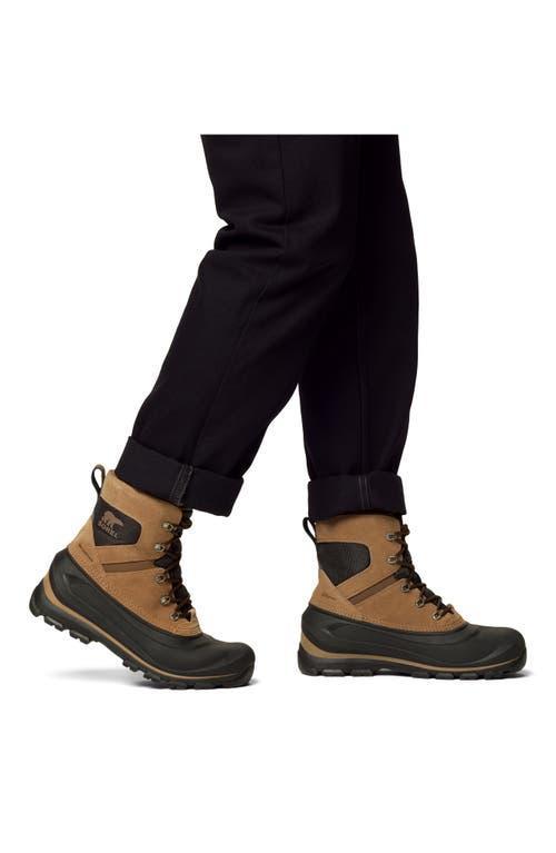 SOREL Buxton Waterproof Snow Boot In Multi Product Image