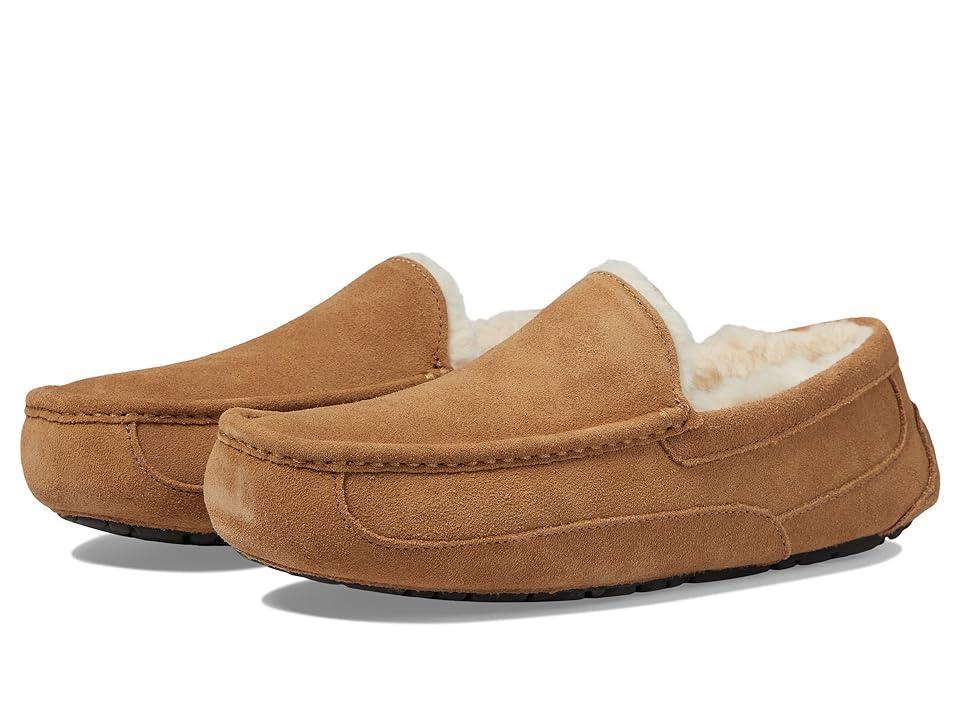 UGG Mens Ascot Suede Moc Product Image