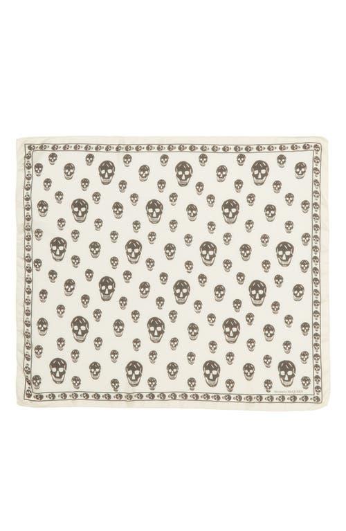 Womens Skull Silk Chiffon Scarf Product Image