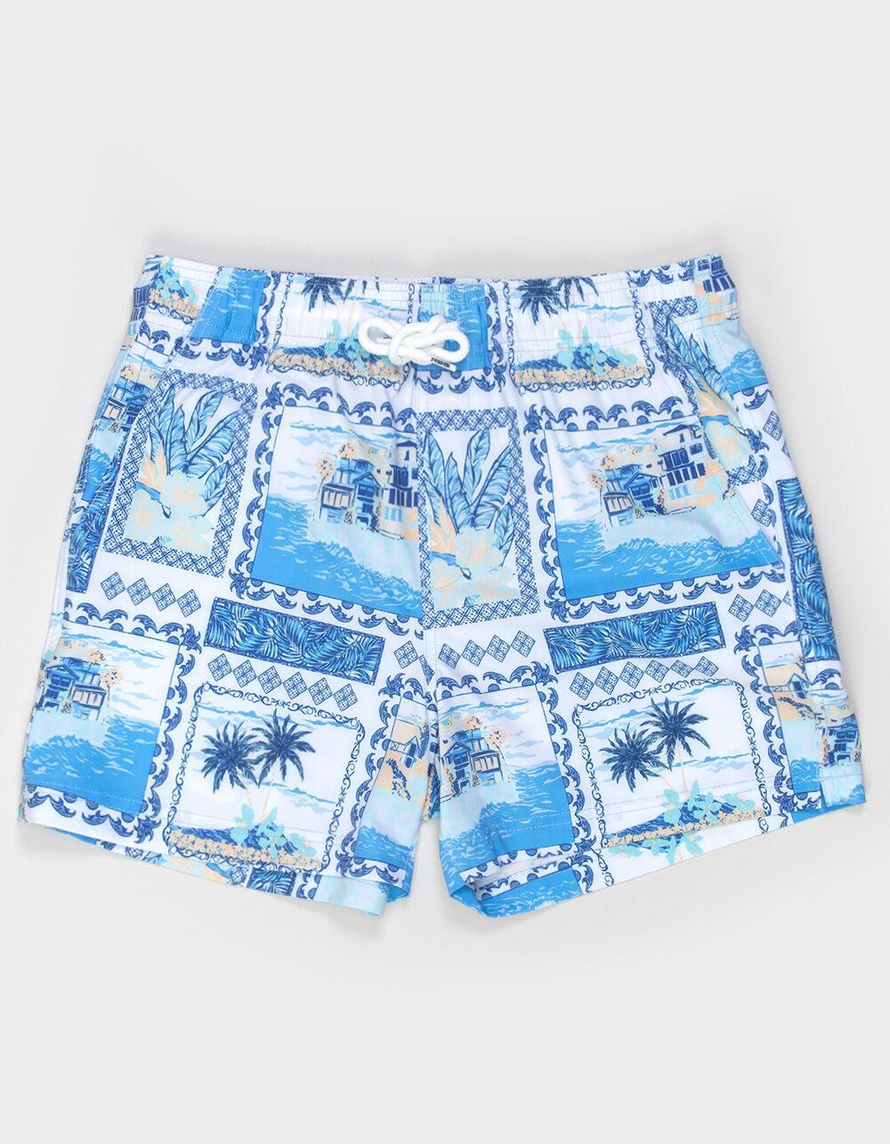 RSQ Mens Vacation Scene Swim Shorts - BLUE/WHT Product Image