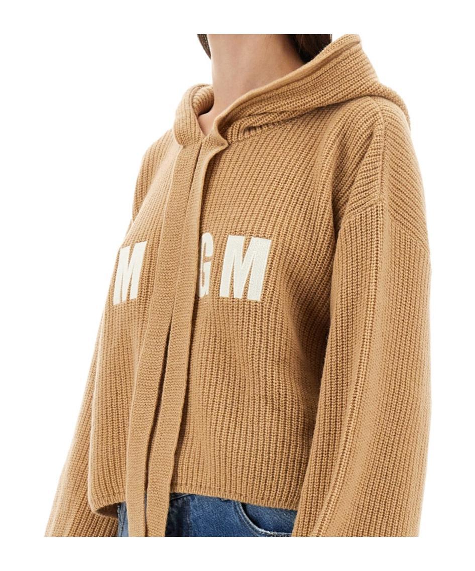 MSGM Logo-embroidered Hooded Jumper In Beige Product Image