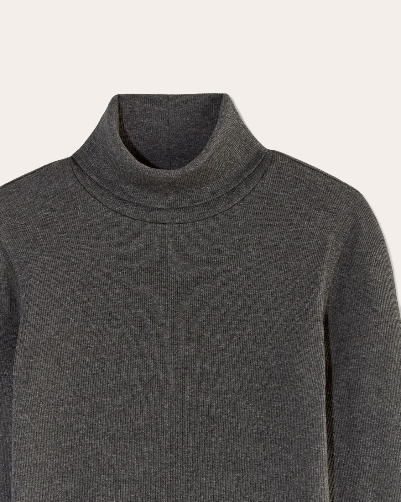 The Luxe Rib Turtleneck Product Image