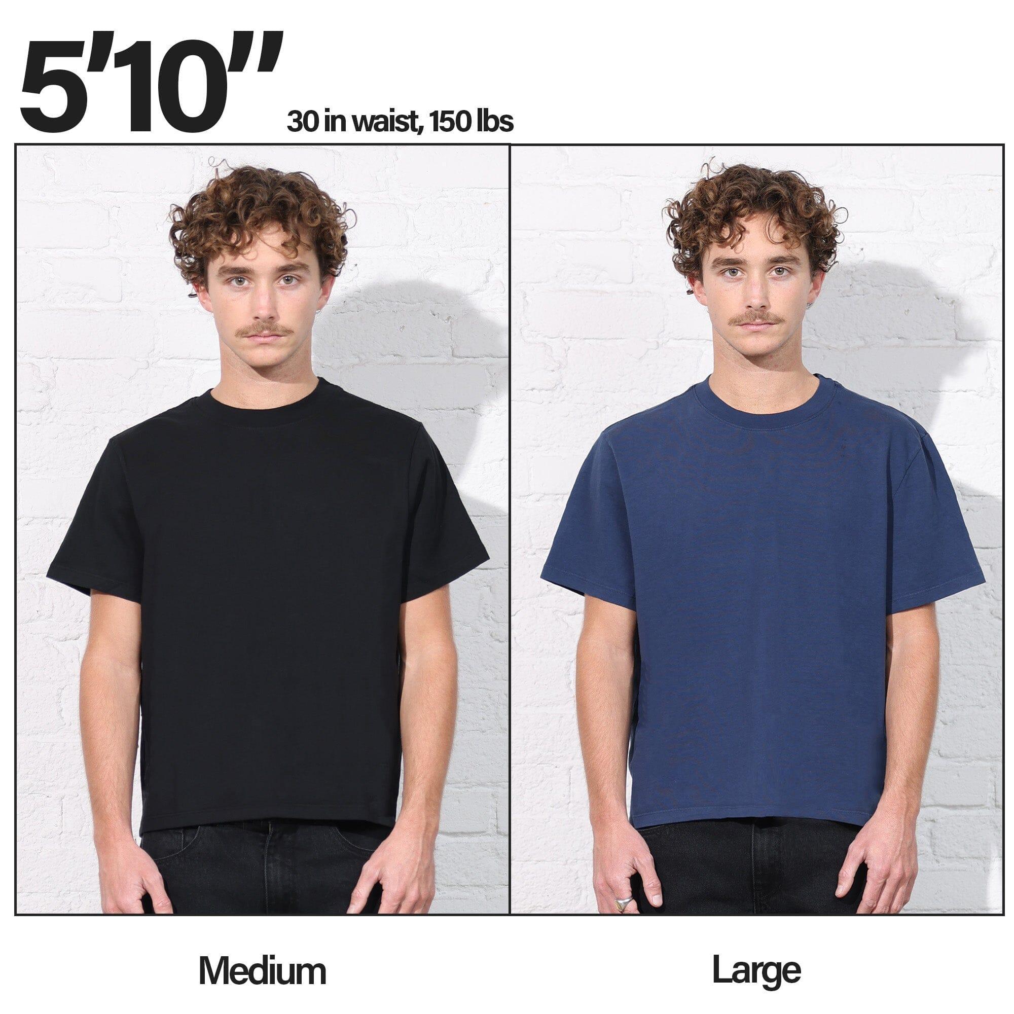 The Silverlake Crop Tee II Product Image