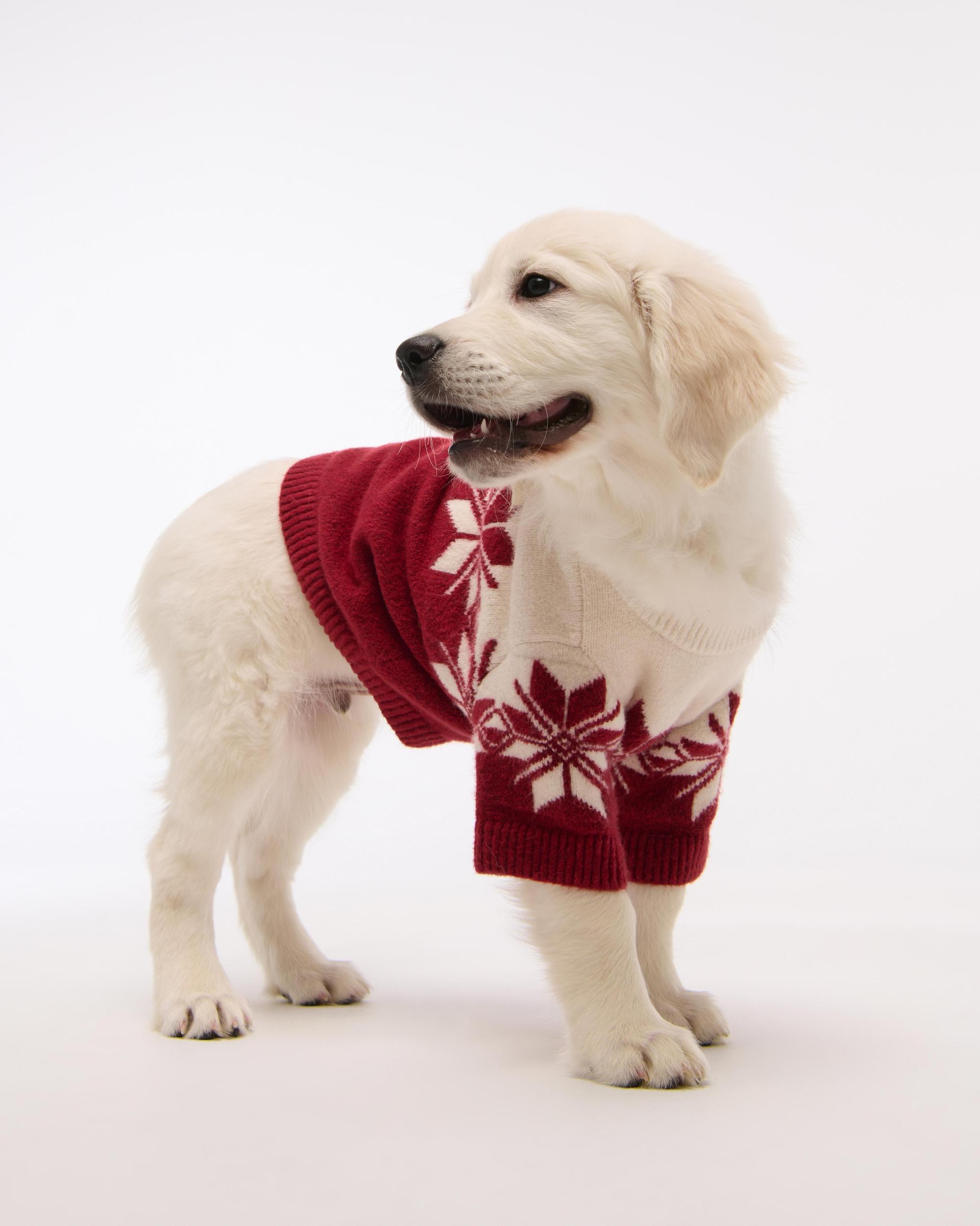 A&F Pet Sweater Product Image