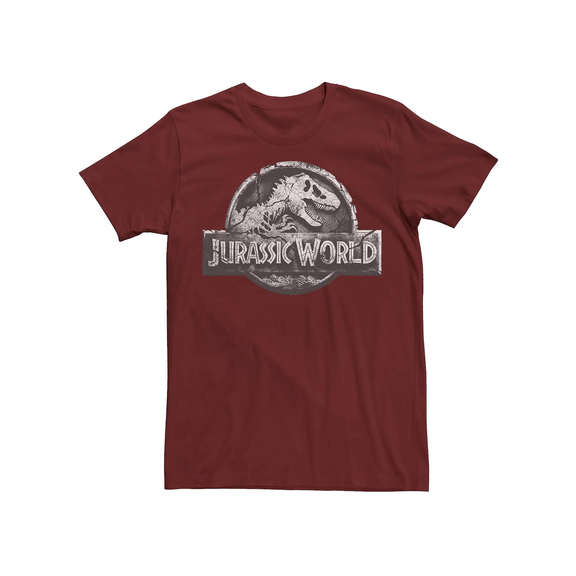 Big & Tall DC Comics The Winged Wonders Text Logo Tee, Men's, Size: Large Tall, Navy Grey Product Image