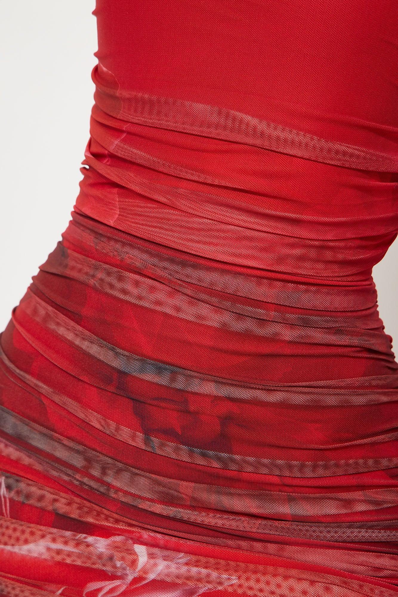 Mariana Floral Mesh Maxi Dress - Red/combo Product Image