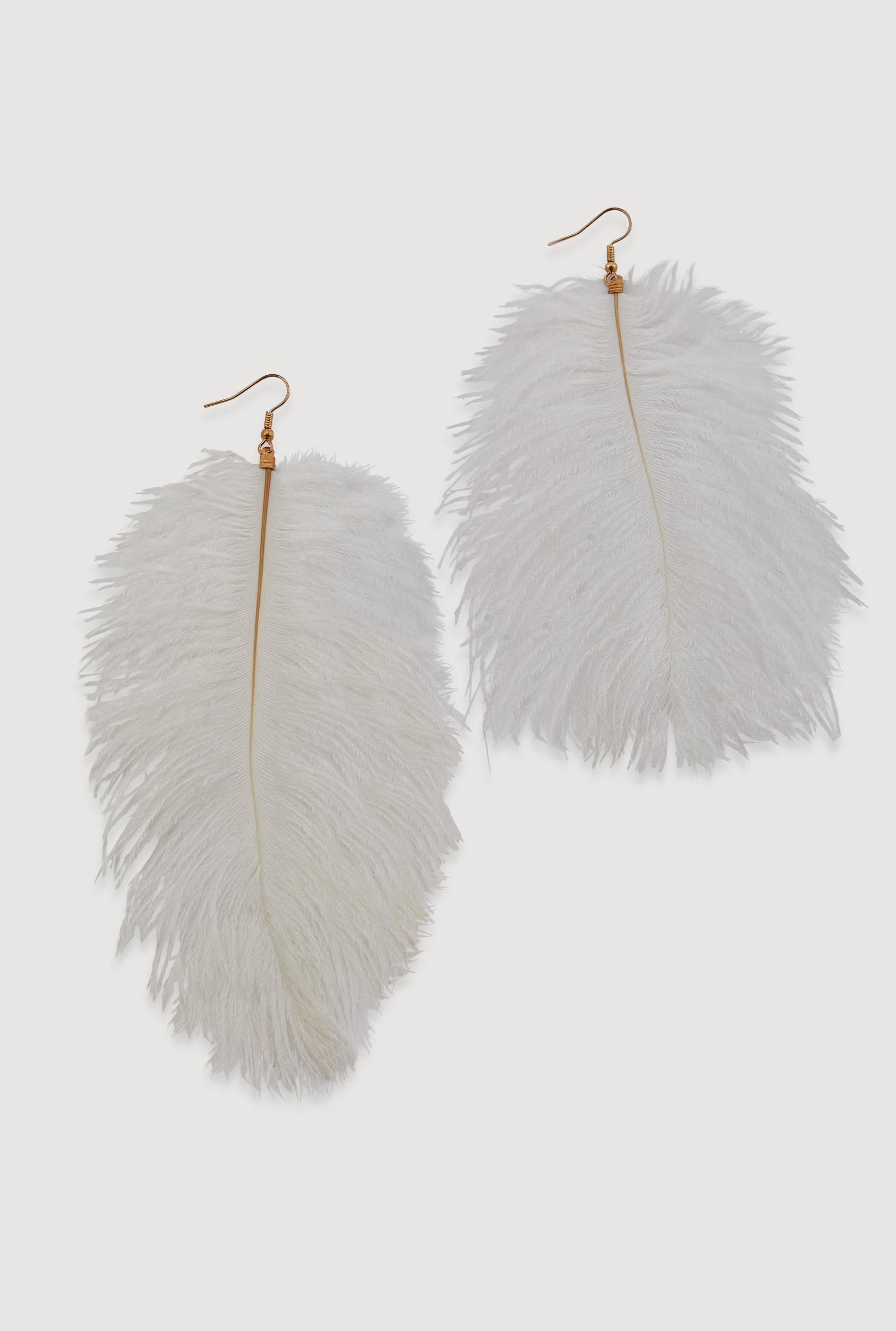Ostrich Feather Drop Earrings Male Product Image