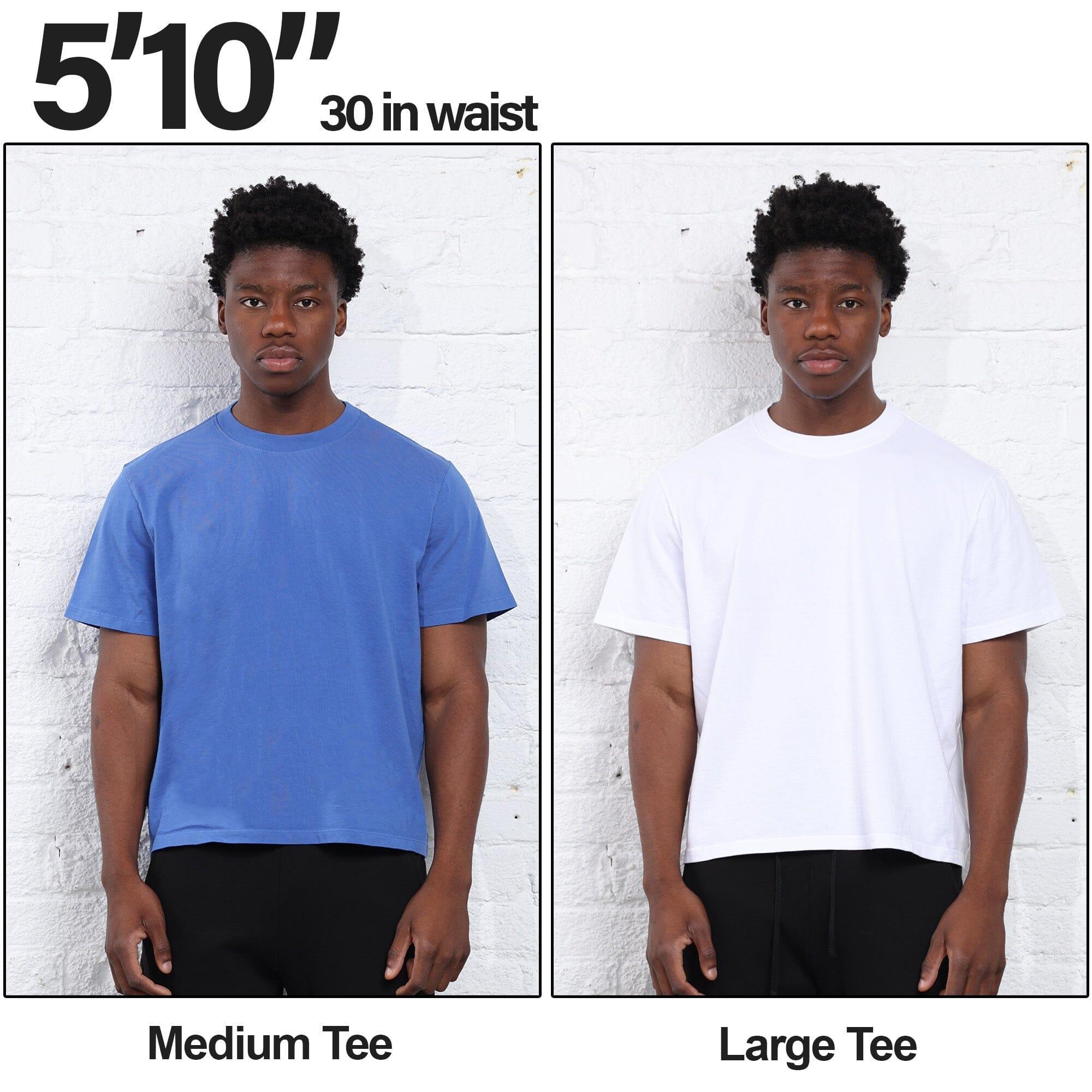 The Silverlake Crop Tee II Product Image