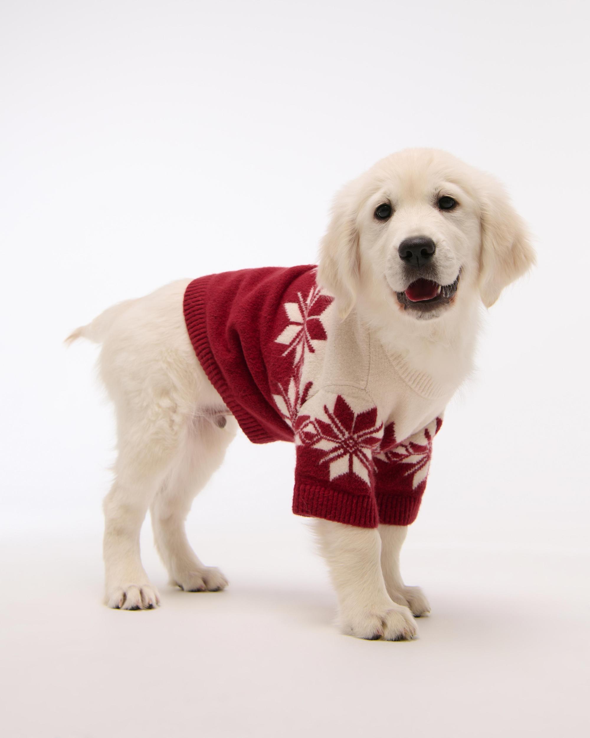 A&F Pet Sweater Product Image
