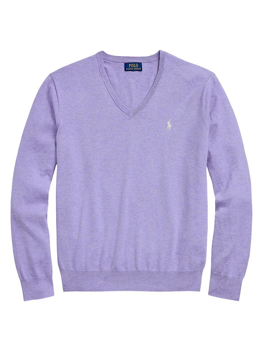 Mens Logo Cotton V-Neck Sweater Product Image