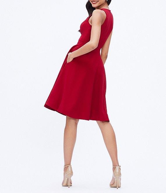 Dress the Population Catalina Crepe V-Neck Sleeveless A-Line Dress Product Image