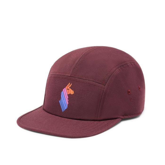 Llama Stripes 5-Panel Hat Product Image