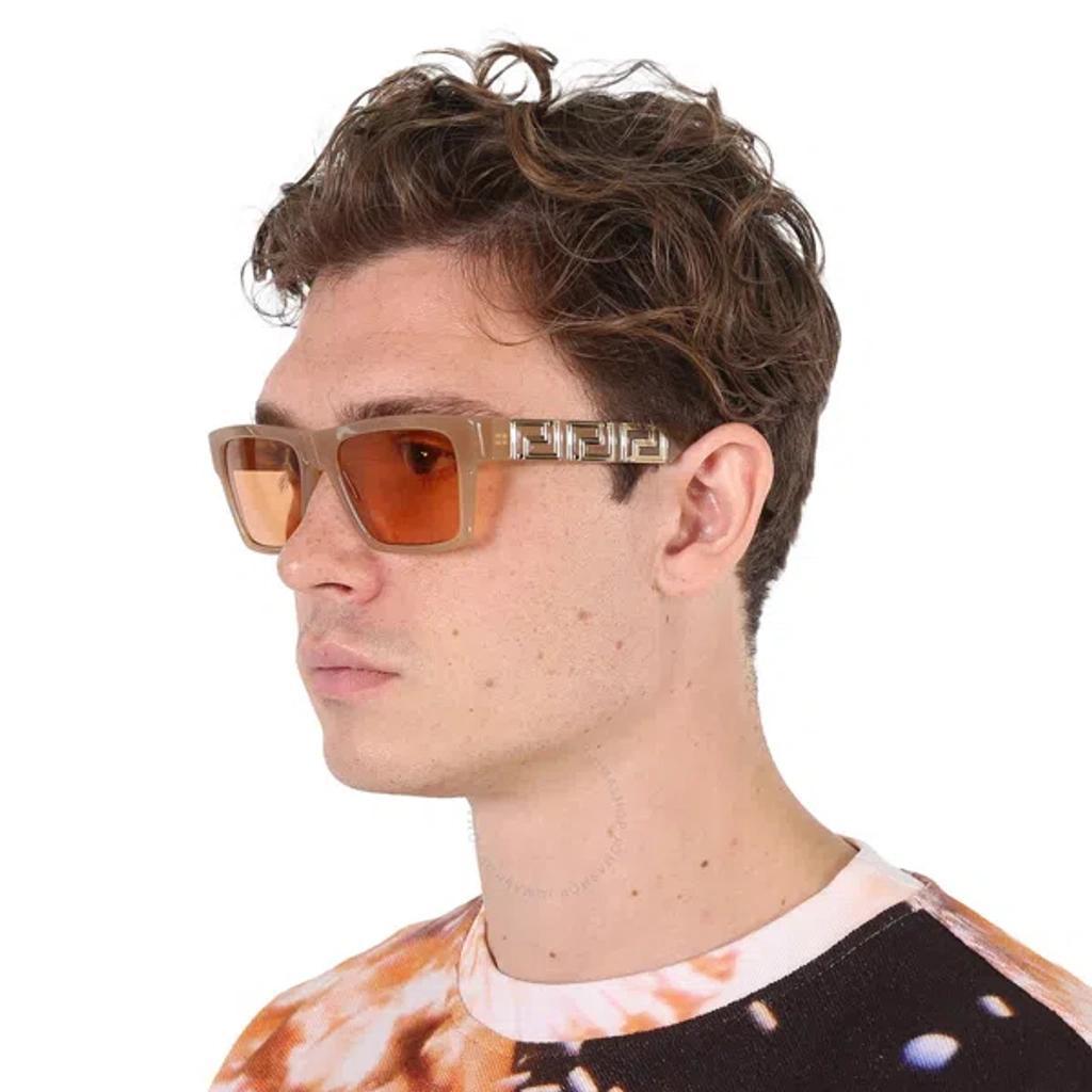 Bold Acetate Butterfly Sunglasses Product Image